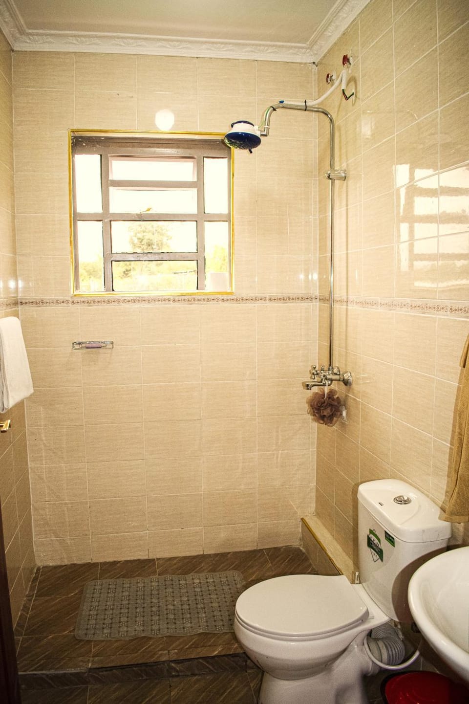 Shower, Toilet, Bathroom