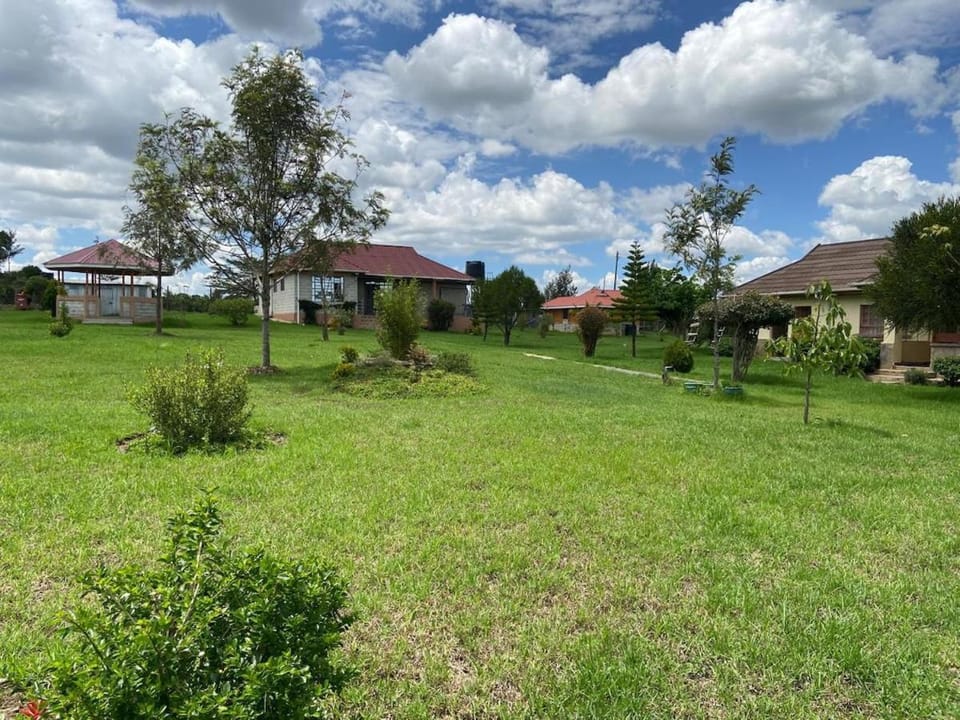 Day, Natural landscape, Garden, Garden view