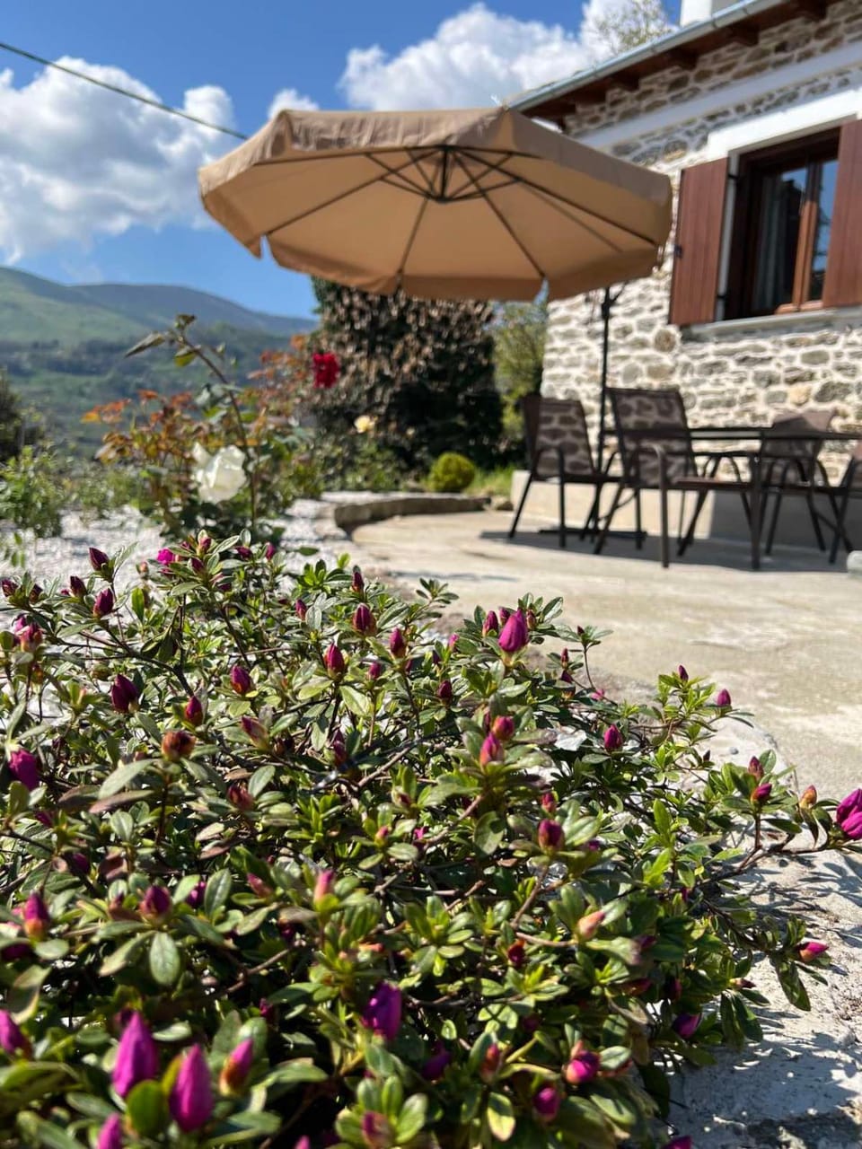 Garden, Balcony/Terrace