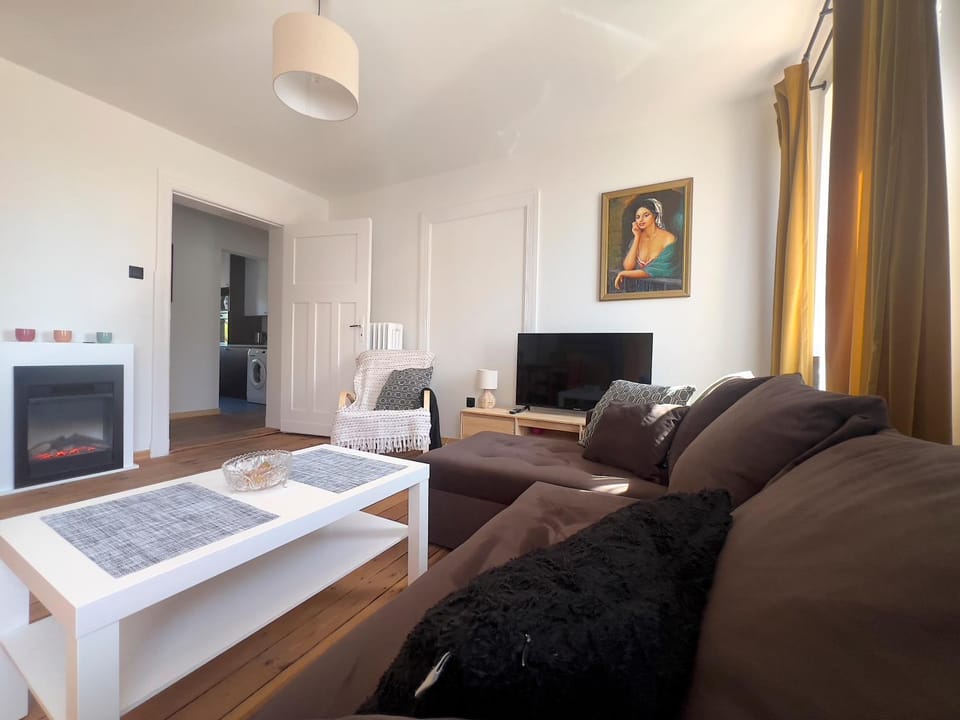 TV and multimedia, Living room, Photo of the whole room, Decorative detail, heating