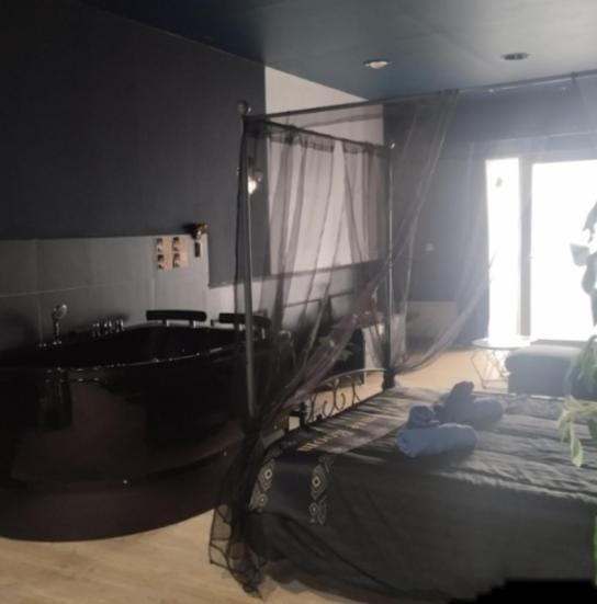 Cinema et balneotherapy - La SPAcieuse Room Apartment in Évian-les-Bains