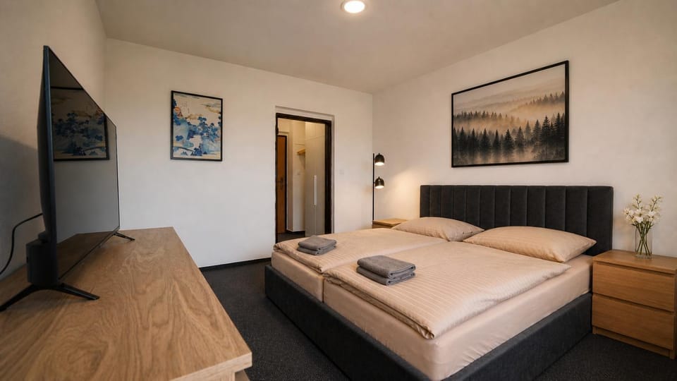 TV and multimedia, Photo of the whole room, Bedroom, towels