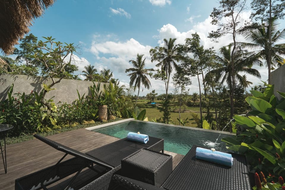 View (from property/room), Pool view, Swimming pool