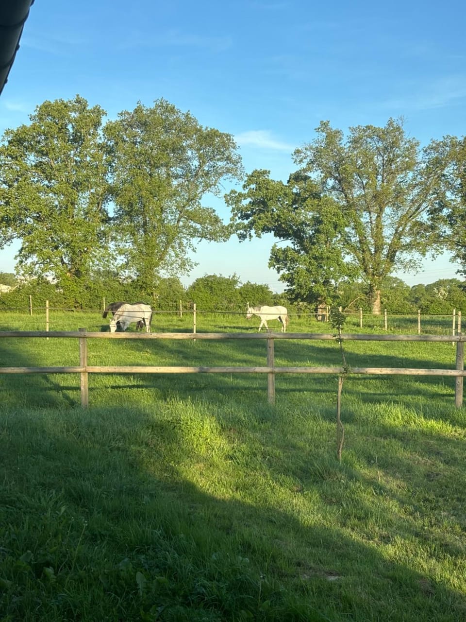 View (from property/room), Garden view