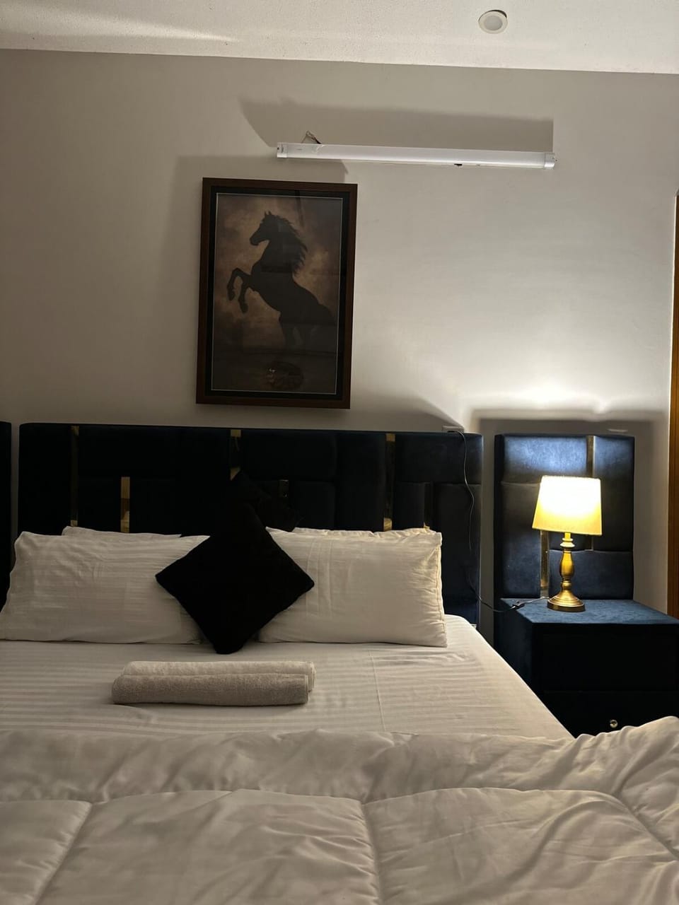 Park-facing 2BR Entire Ground portion House in Islamabad