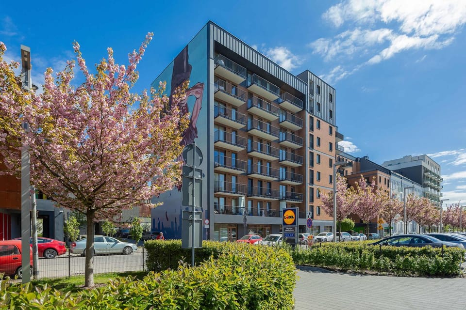 Property building, Day