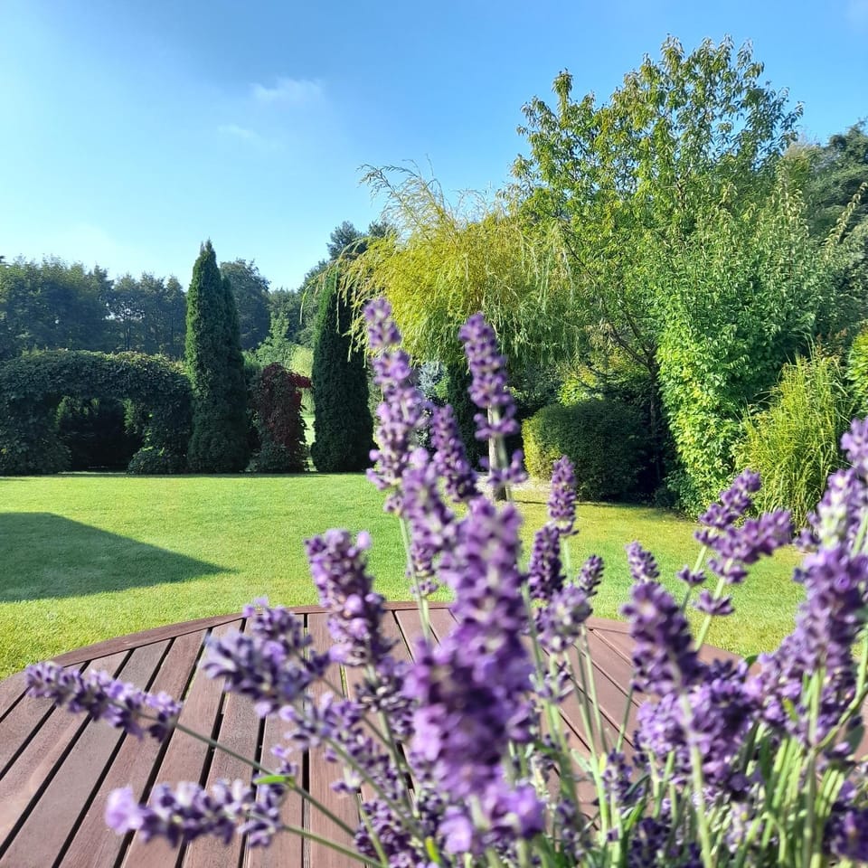Natural landscape, Garden, Garden, Garden view