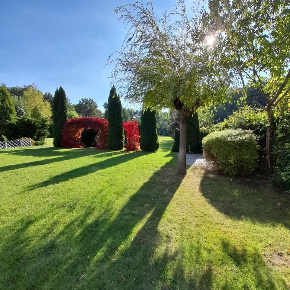 Spring, Natural landscape, Garden, Garden view
