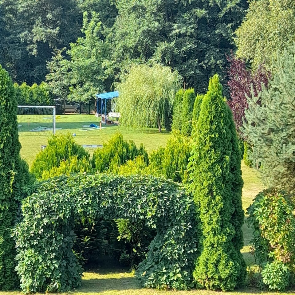 Natural landscape, Garden, Garden, Garden view