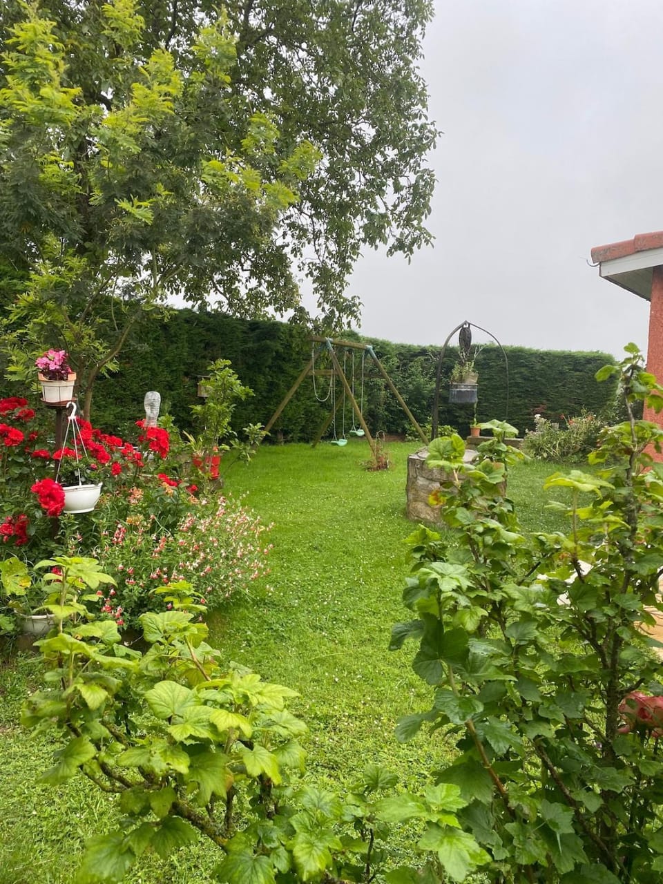Spring, Day, Garden