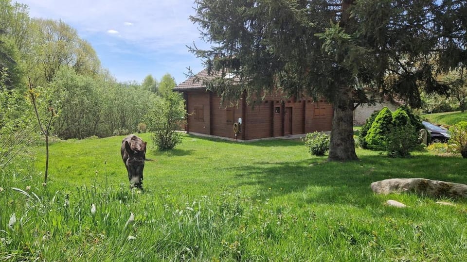 Natural landscape, Garden
