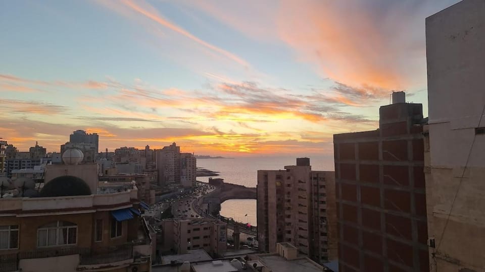 Lavender Dream Stay Apartment in Alexandria