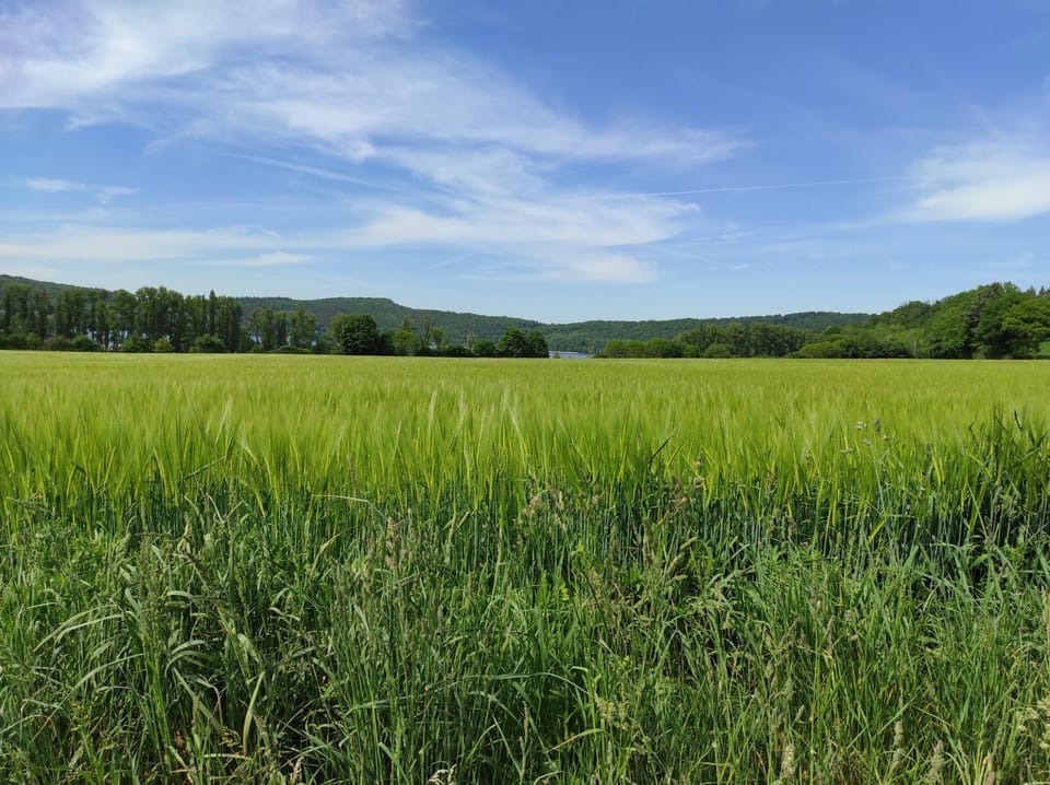 Natural landscape
