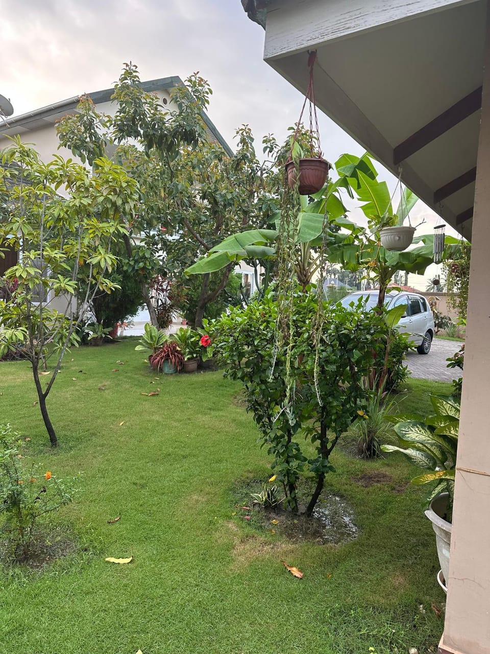 Property building, Garden view