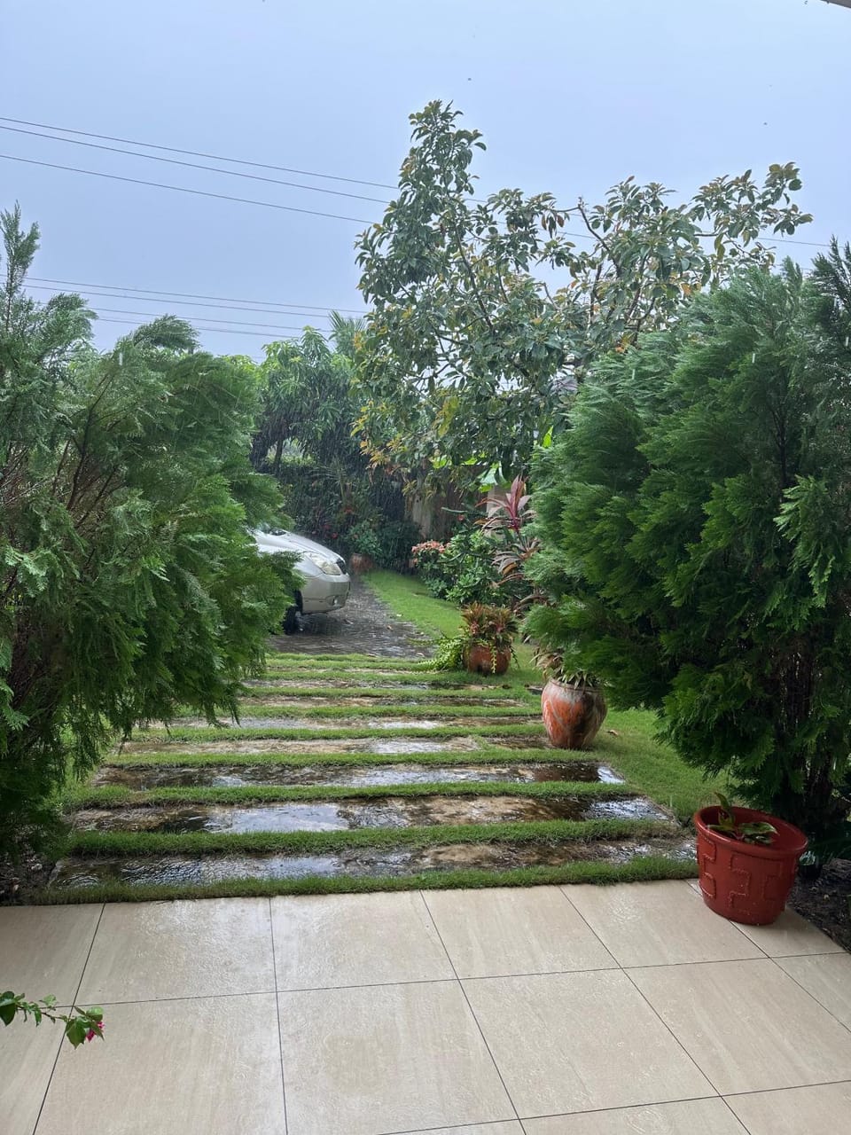 Day, Garden view