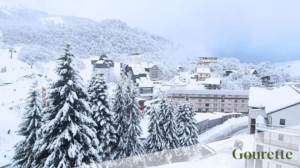 Le Balcon du Ger, vue panoramique sur les pistes Apartment in Nouvelle-Aquitaine