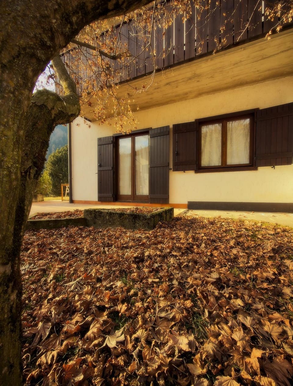 Pinzolo Pineta Stay Apartment in Pinzolo