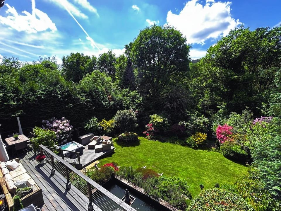 Garden view