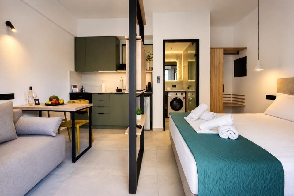 Bed, TV and multimedia, Kitchen or kitchenette, Living room, Photo of the whole room, Seating area, Bedroom, oven, wardrobe, washing machine