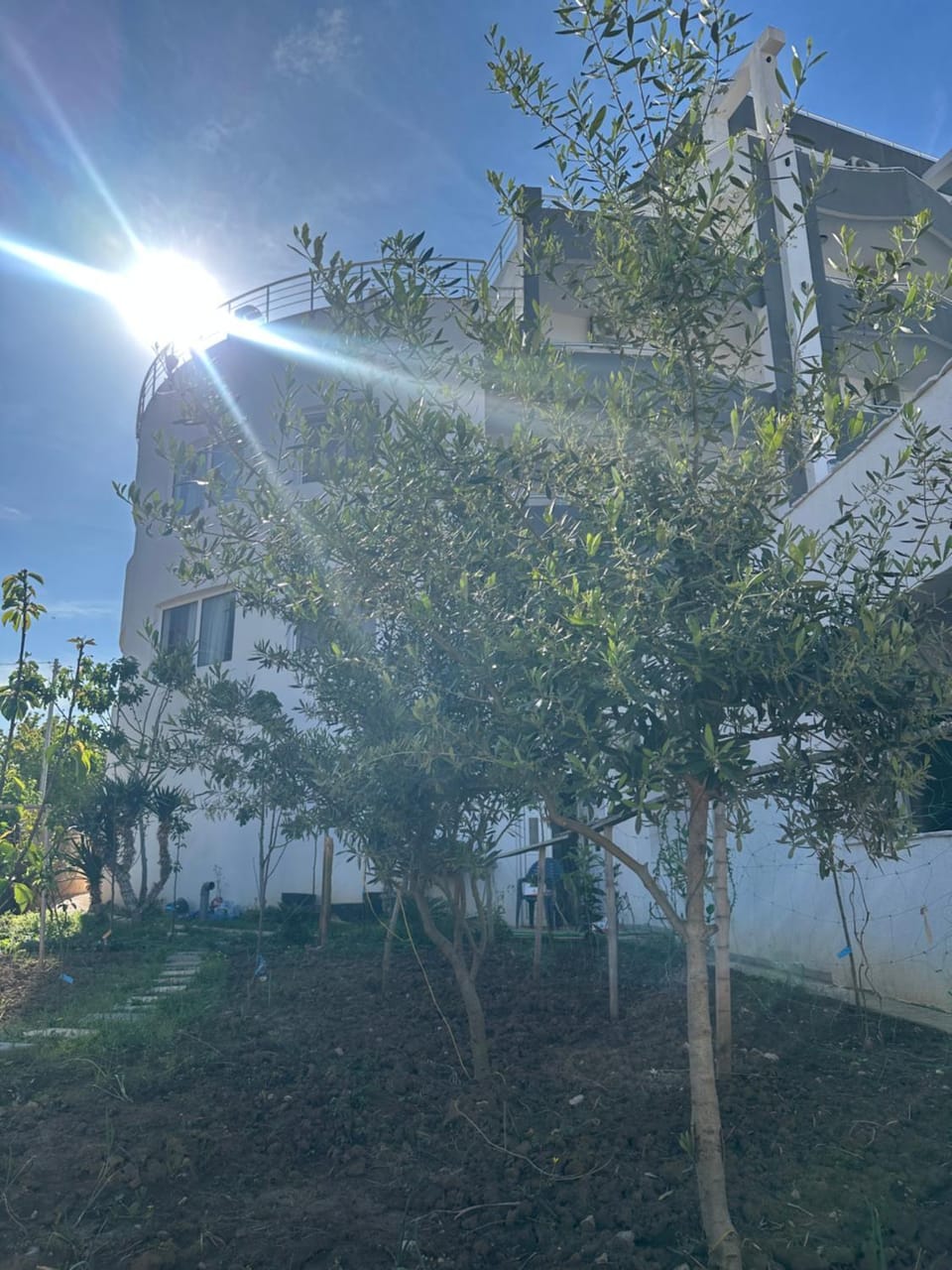 Property building, Garden, Garden view