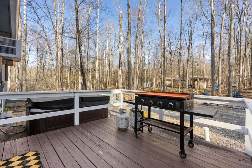 Firepit Game Room Seclusion and More House in Coolbaugh Township