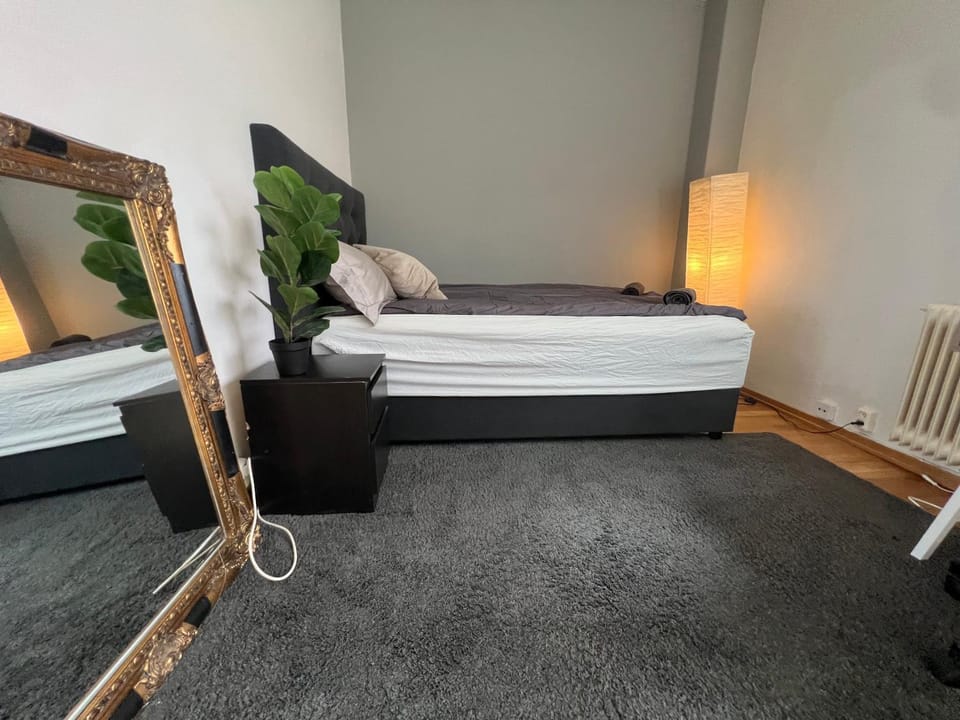 Spacious large Room in central Oslo Bogstadveien Majorstuen Bed and Breakfast in Oslo