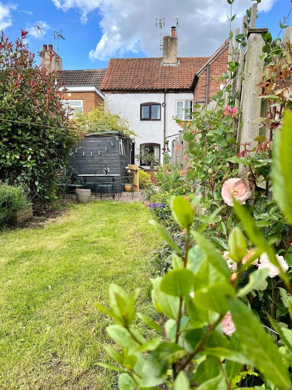 Natural landscape, Garden, Seating area, Pets, Garden view