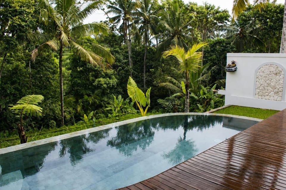 Natural landscape, Garden, Pool view, Swimming pool