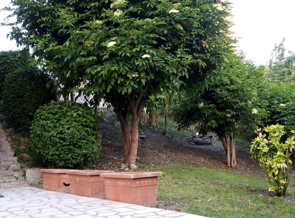 Property building, Spring, Day, Natural landscape, Garden, Garden view