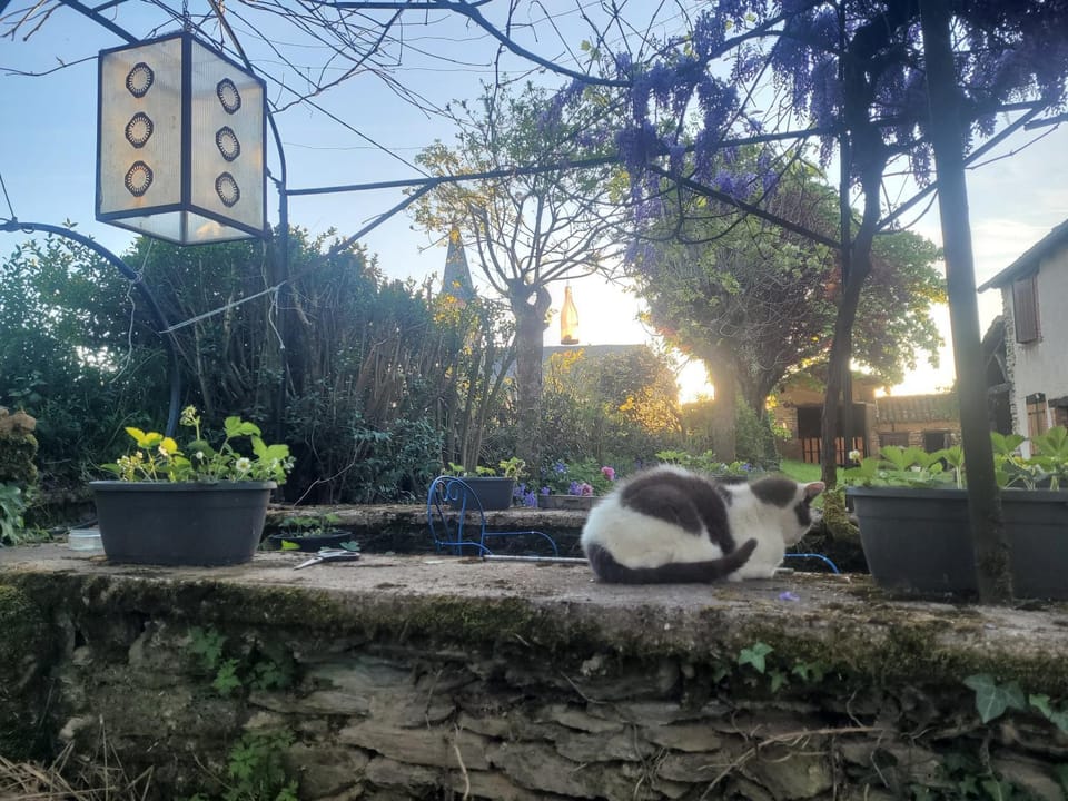 La ferme des grandes oreilles Farm Stay in Occitanie