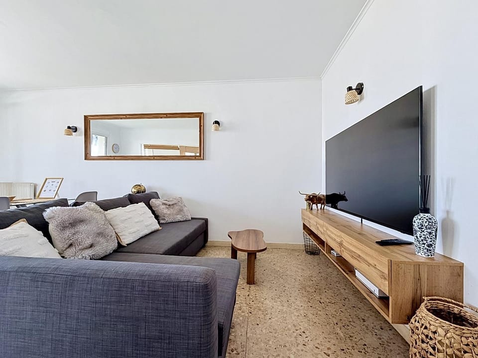 TV and multimedia