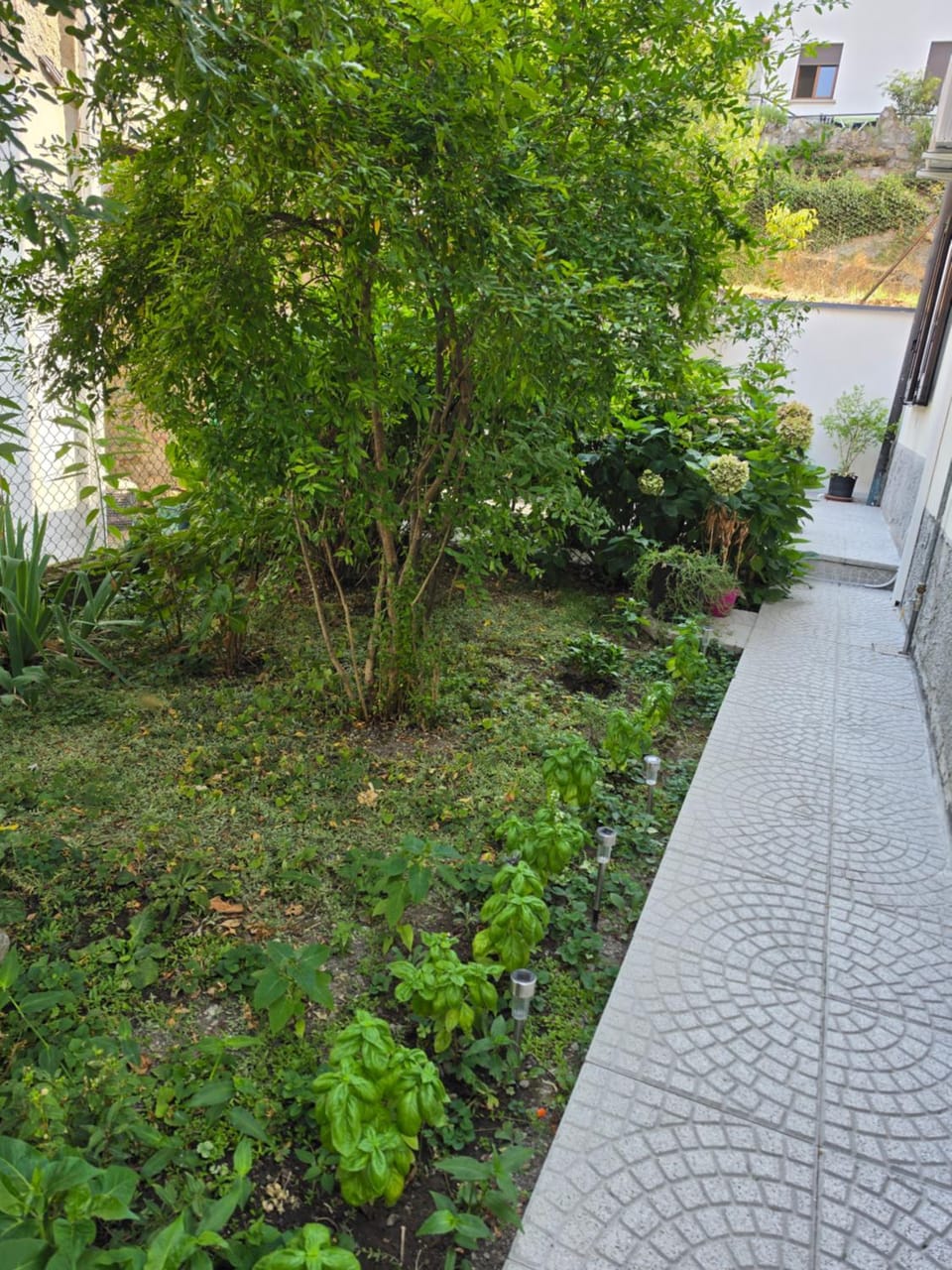 Garden, Garden view