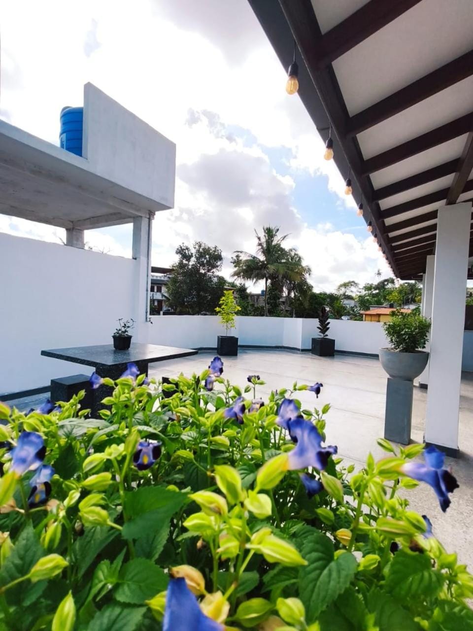 Day, Garden, View (from property/room), Balcony/Terrace, Garden view