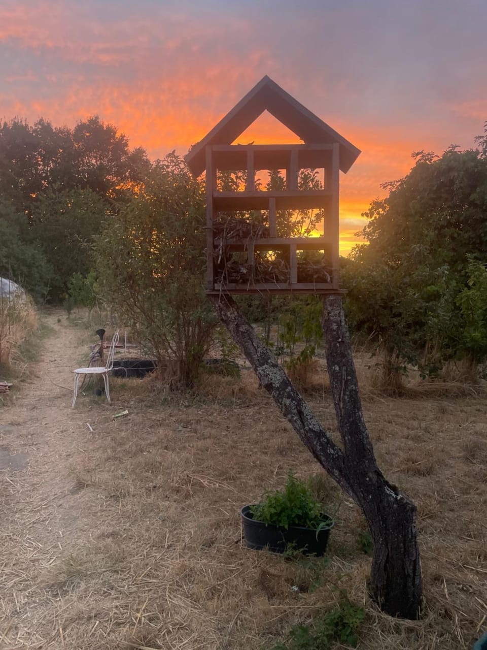 Garden view