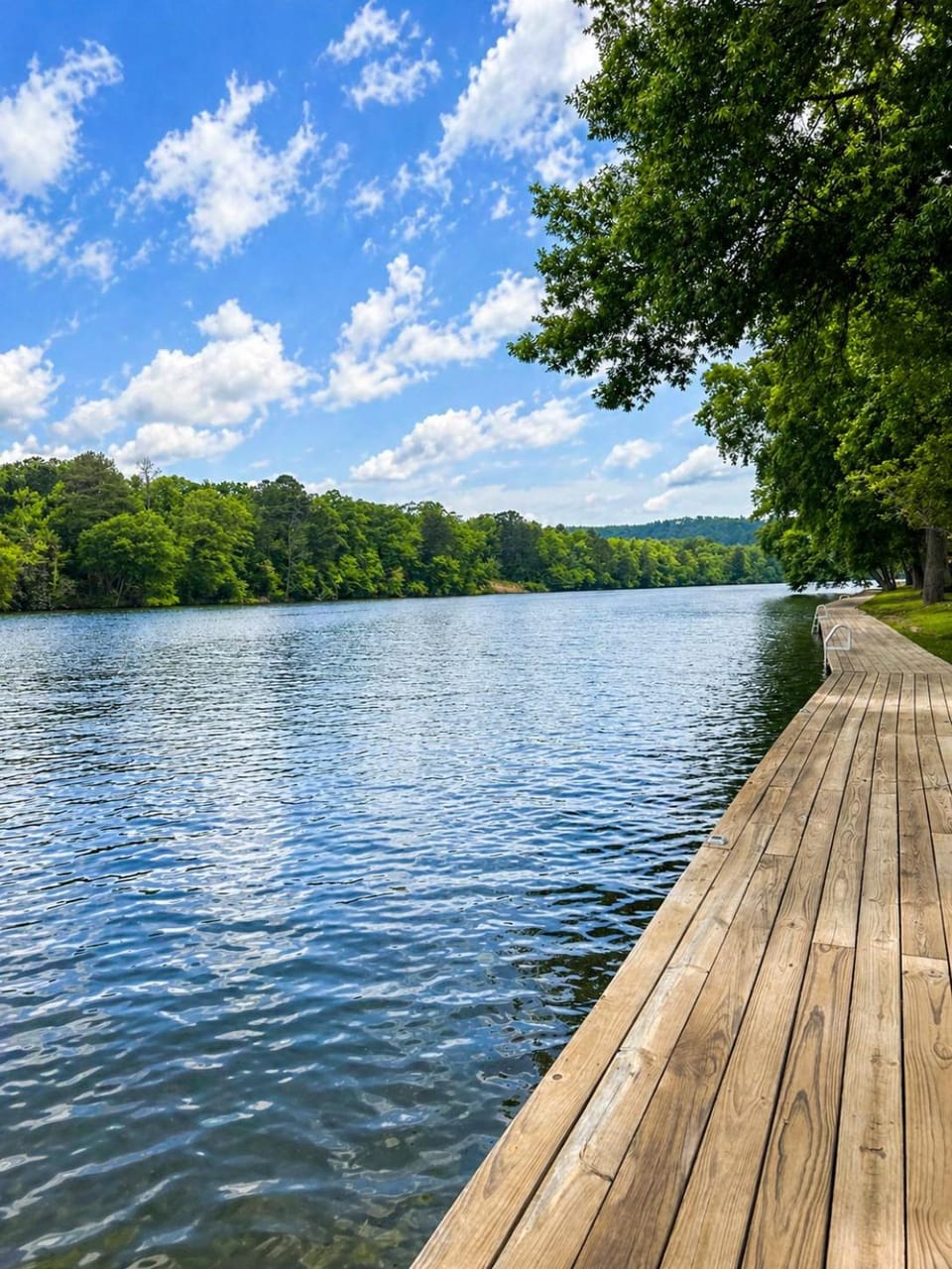 Lake view