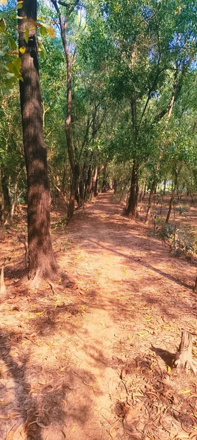 Off site, Natural landscape