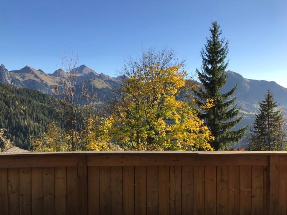 Chalet ANTARÈS Chalet in Manigod