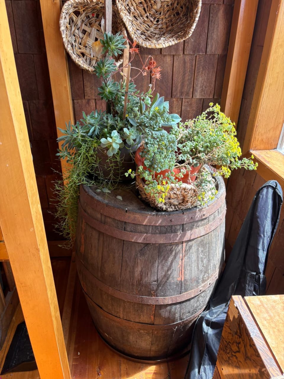 Casona anchimalen House in Los Lagos, Chile