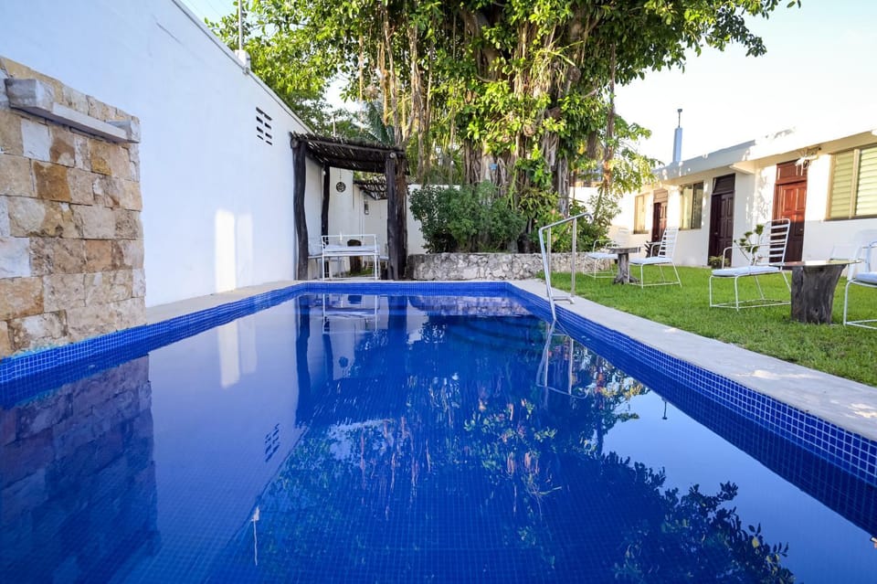 Patio, Garden, Swimming pool, Inner courtyard view, sunbed