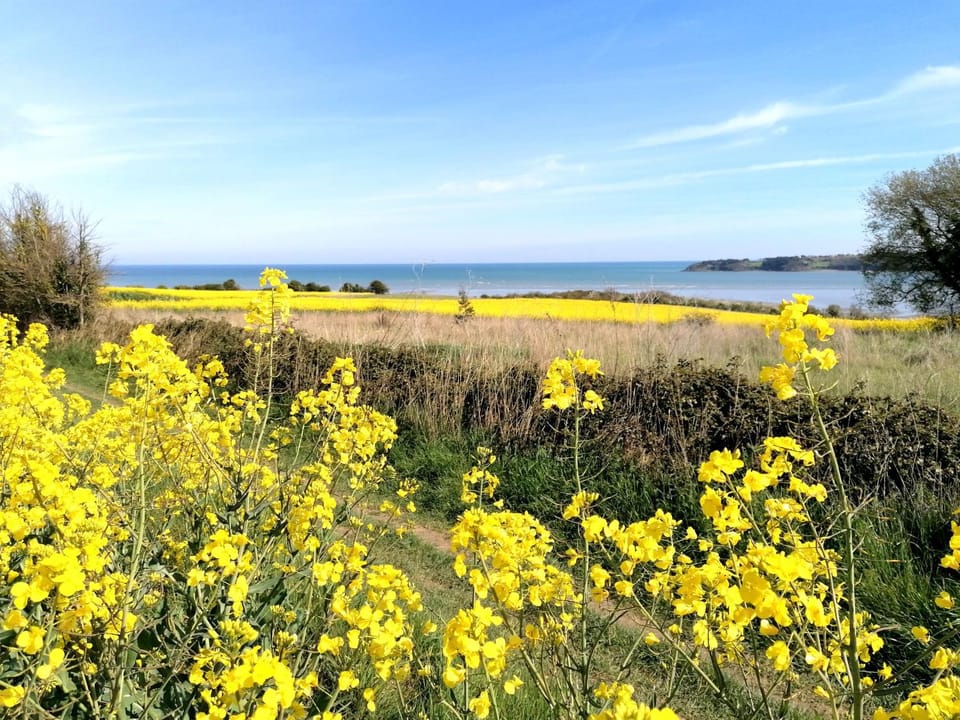 Nearby landmark, Natural landscape, Sea view