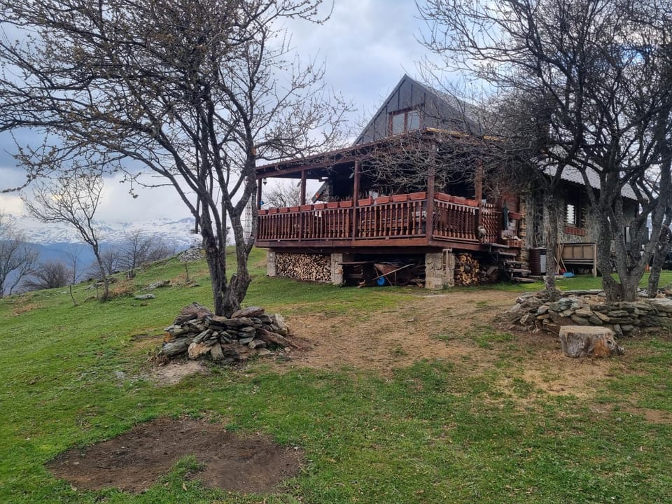 Property building, Garden, Garden view