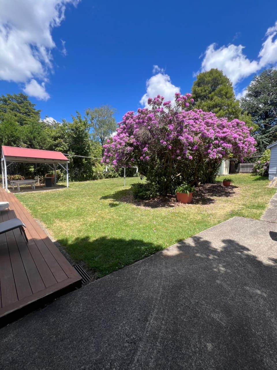 Garden view