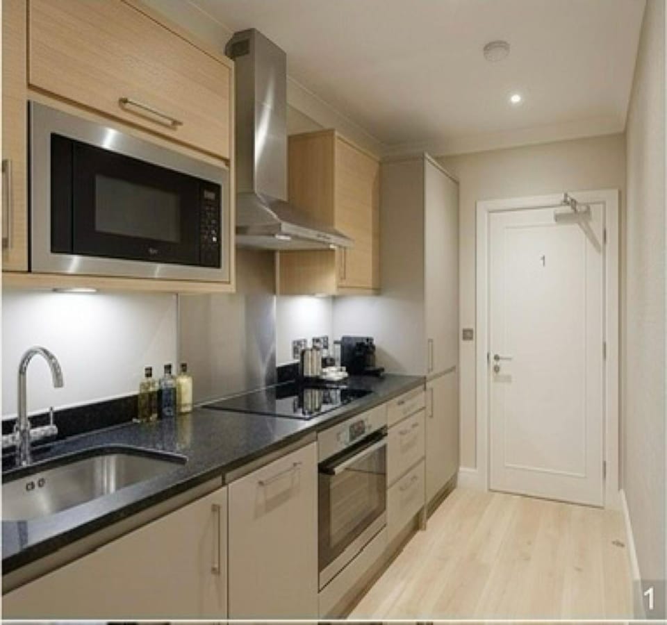 Wembley Stadium Modern Apartment Apartment in Wembley