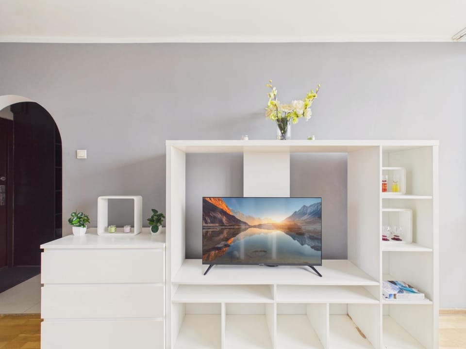 TV and multimedia