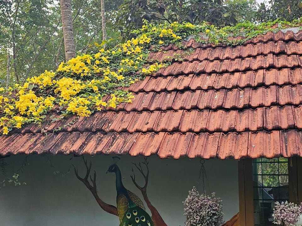 Property building, Garden view