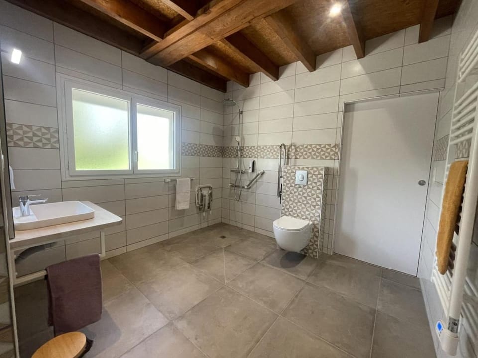 Shower, Toilet, Bathroom, towels