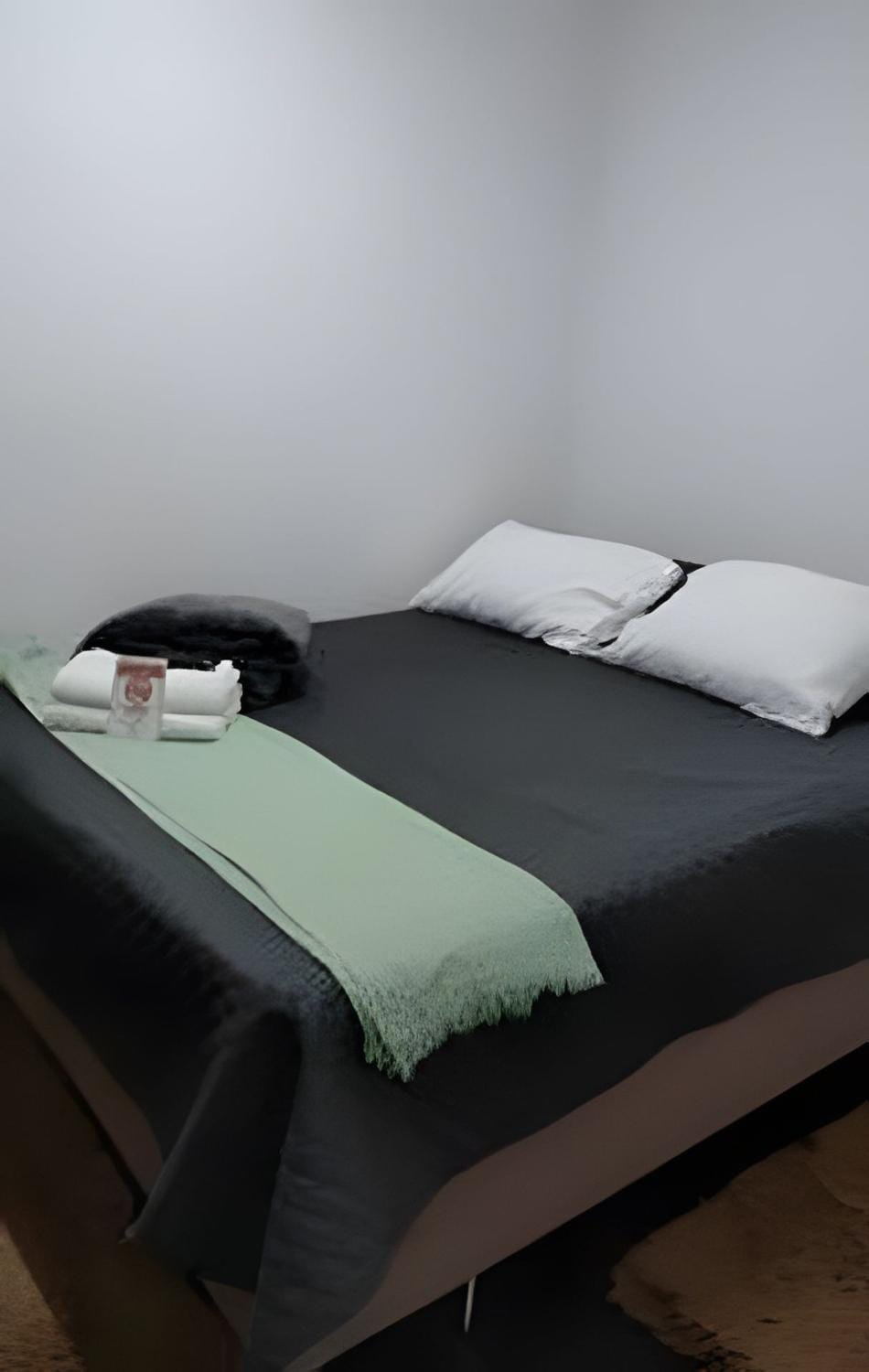 casa inteira edicula prox autodromo e aeroporto Apartment in Sao Paulo City