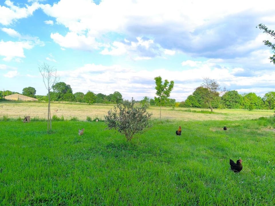 Evasion nature, appartement avec grand jardin Apartment in Nouvelle-Aquitaine