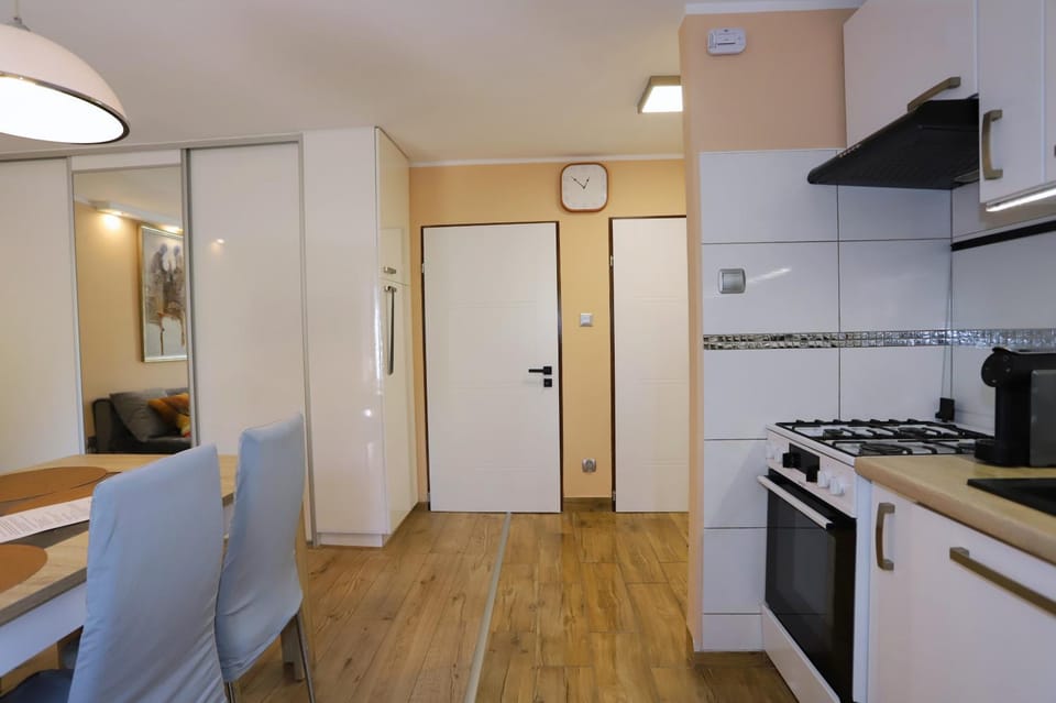 Kitchen or kitchenette, Living room, Dining area, microwave, oven, stove, stove, wardrobe, kitchen, kitchen