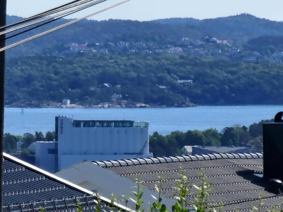 View (from property/room)